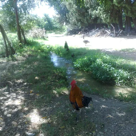 Agriturismo La Calabrisella Davoli