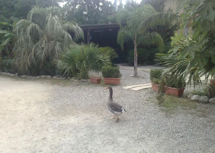 La Calabrisella Farmház