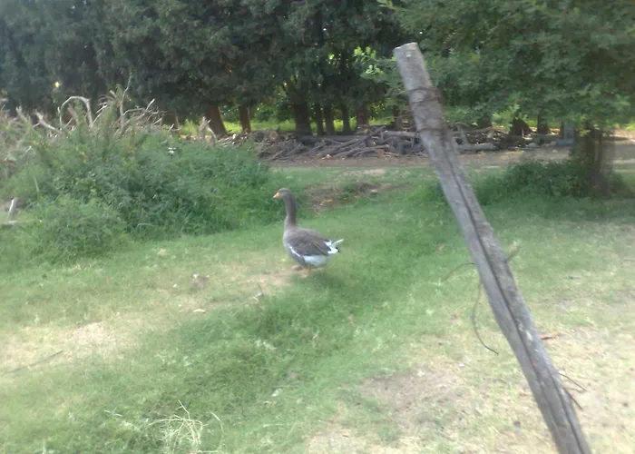 Farmház La Calabrisella