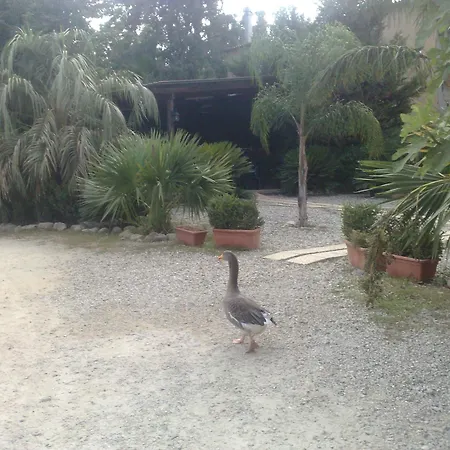 La Calabrisella Alloggio per agriturismo