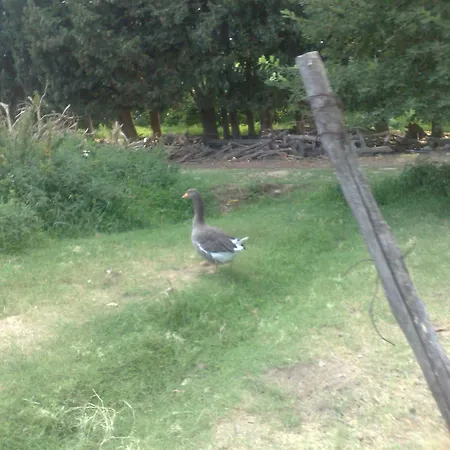 Alloggio per agriturismo La Calabrisella