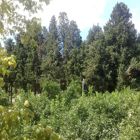 La Calabrisella Lantgård Davoli