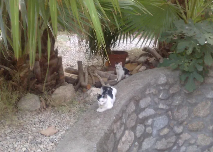 农家乐 La Calabrisella