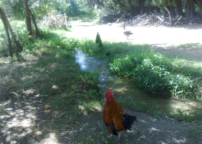 La Calabrisella 达沃利