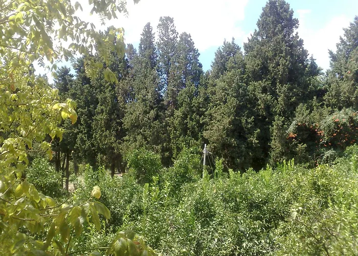 La Calabrisella 农家乐 达沃利